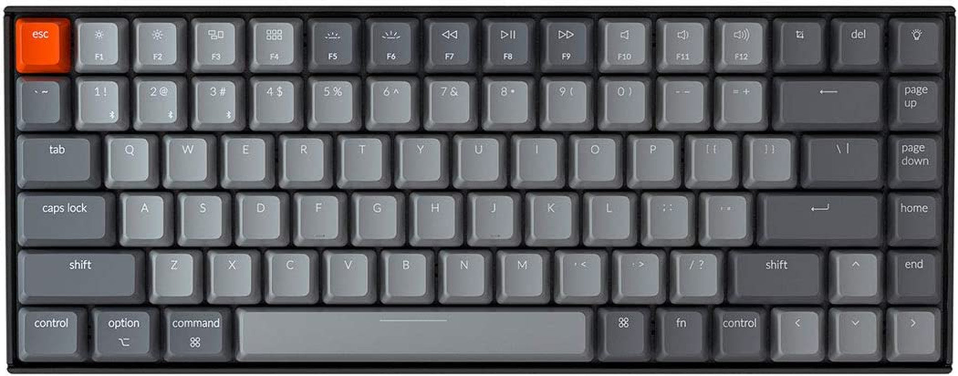 K2 75% Layout RGB Bluetooth Wireless Mechanical Keyboard with Gateron G Pro Blue Switch/Anti Ghosting/N-Key Rollover, Compact 84 Keys USB Wired Gaming Keyboard for Mac Windows-Version 2