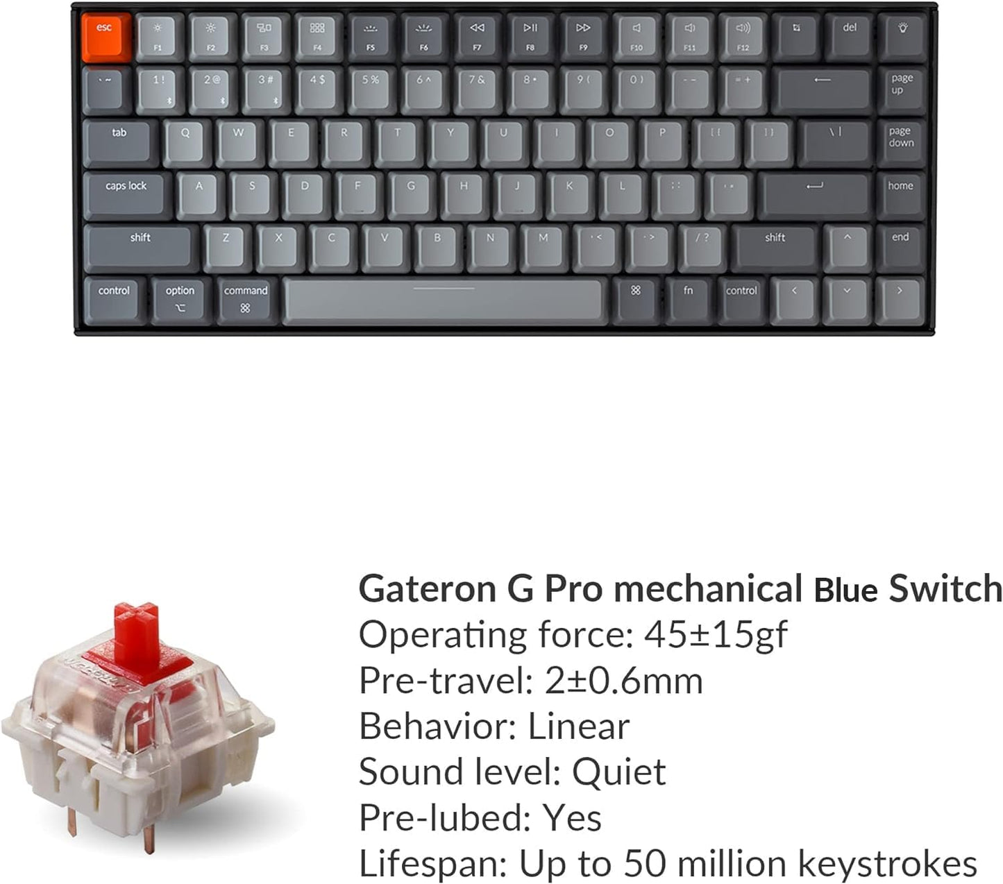 K2 75% Layout RGB Bluetooth Wireless Mechanical Keyboard with Gateron G Pro Blue Switch/Anti Ghosting/N-Key Rollover, Compact 84 Keys USB Wired Gaming Keyboard for Mac Windows-Version 2